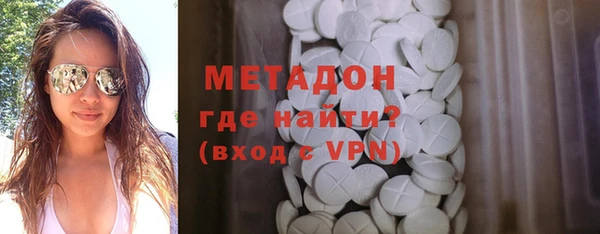 ГАЛЛЮЦИНОГЕННЫЕ ГРИБЫ Дмитриев