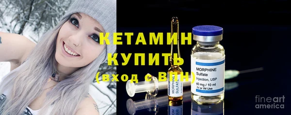 ГАЛЛЮЦИНОГЕННЫЕ ГРИБЫ Дмитриев