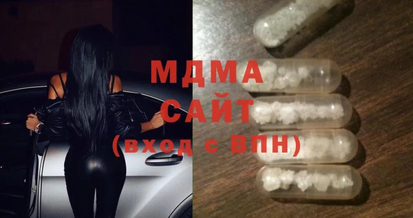 ГАЛЛЮЦИНОГЕННЫЕ ГРИБЫ Дмитриев