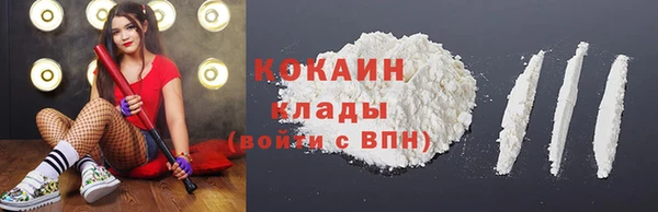 ГАЛЛЮЦИНОГЕННЫЕ ГРИБЫ Дмитриев