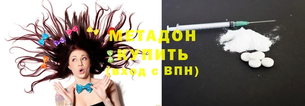 ГАЛЛЮЦИНОГЕННЫЕ ГРИБЫ Дмитриев