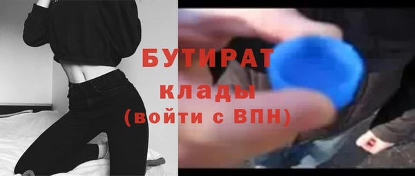 ГАЛЛЮЦИНОГЕННЫЕ ГРИБЫ Дмитриев