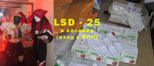 ГАЛЛЮЦИНОГЕННЫЕ ГРИБЫ Дмитриев