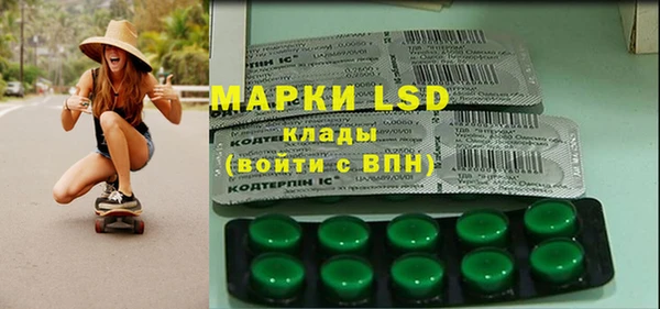 ГАЛЛЮЦИНОГЕННЫЕ ГРИБЫ Дмитриев