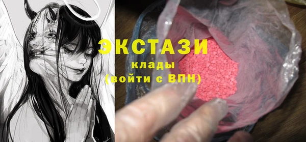 ГАЛЛЮЦИНОГЕННЫЕ ГРИБЫ Дмитриев