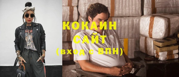 ГАЛЛЮЦИНОГЕННЫЕ ГРИБЫ Дмитриев