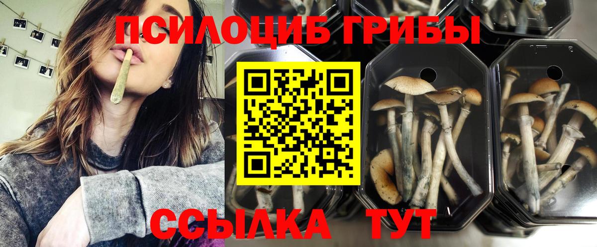 Псилоцибиновые грибы MAGIC MUSHROOMS  Джанкой 