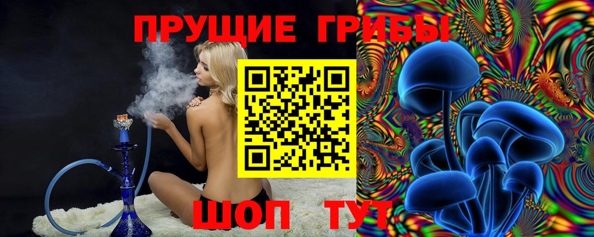 Галлюциногенные грибы Psilocybe  Вход с VPN  Джанкой 